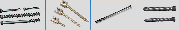 Bone Screw Torsion Testing Machine2 Bone Screw Torsion Testing Machine2